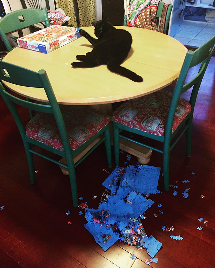 kagez-cat-ruins-puzzle.jpg