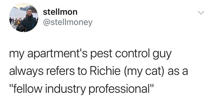 funny tweets
