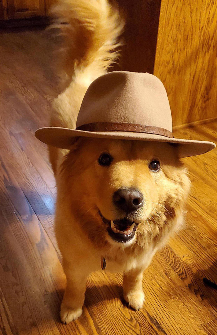 When you find the perfect hat and want to show it off