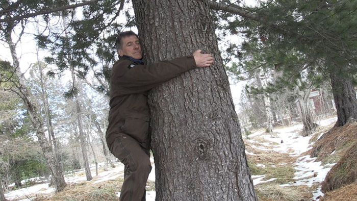 hug a tree coronavirus