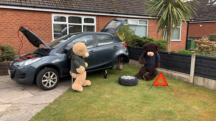 man poses giant bears to bring smiles