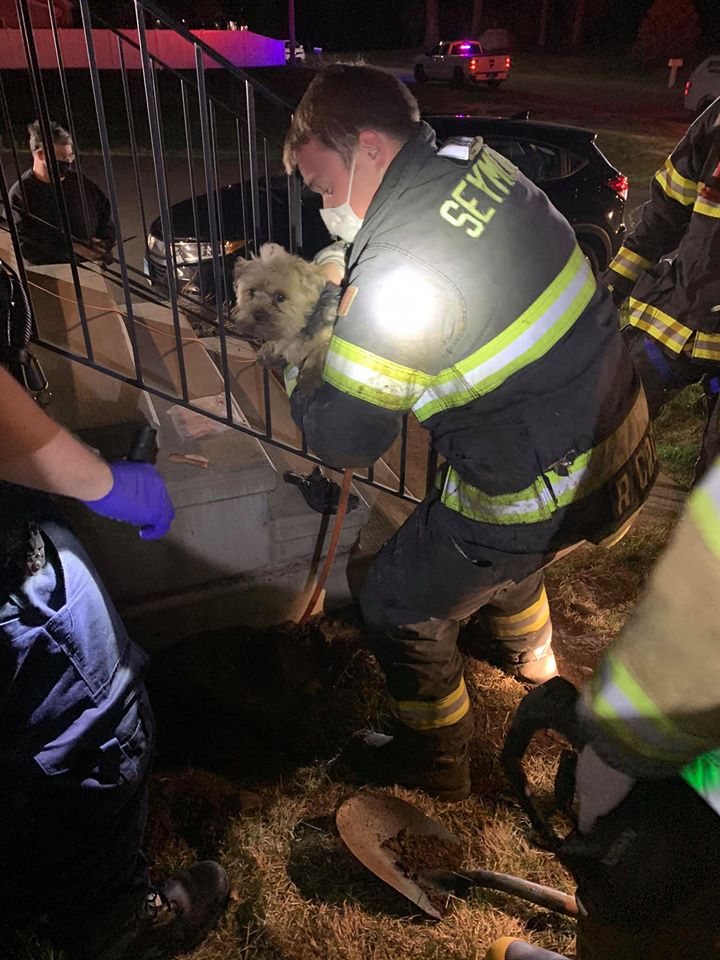 firefighters rescue dog under porch