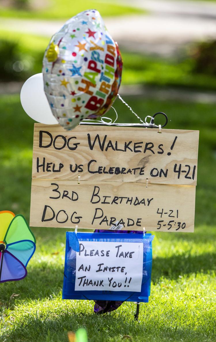 dog parade for little girl birthday