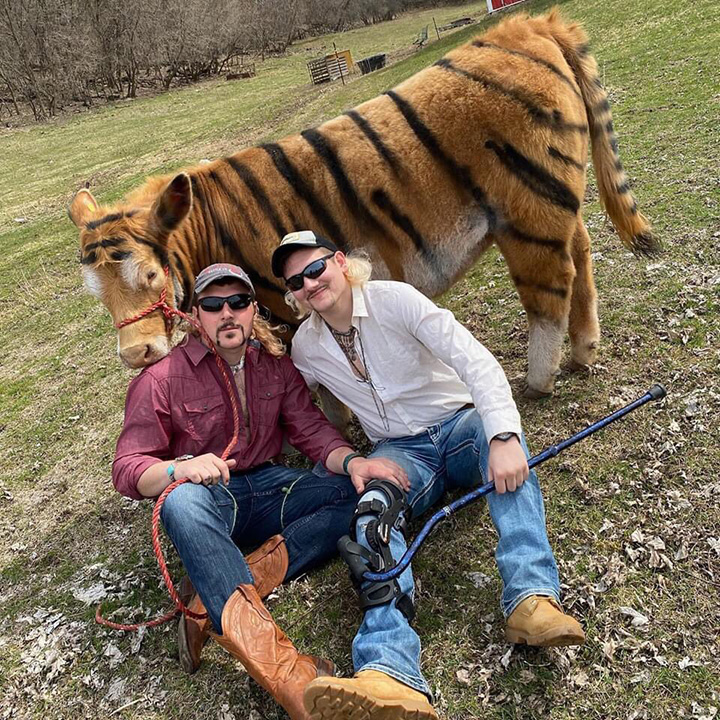 tiger king cow farmers