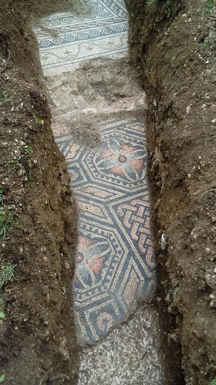 roman mosaic found in verona italy vineyard