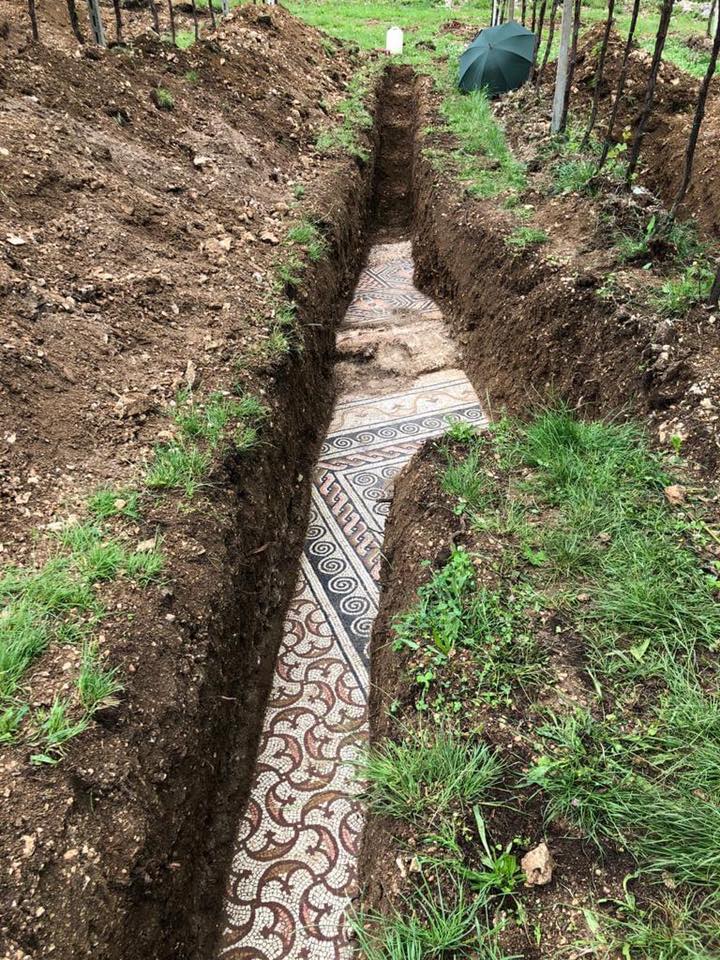 roman mosaic found in verona italy vineyard