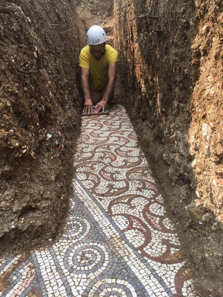 roman mosaic found in verona italy vineyard