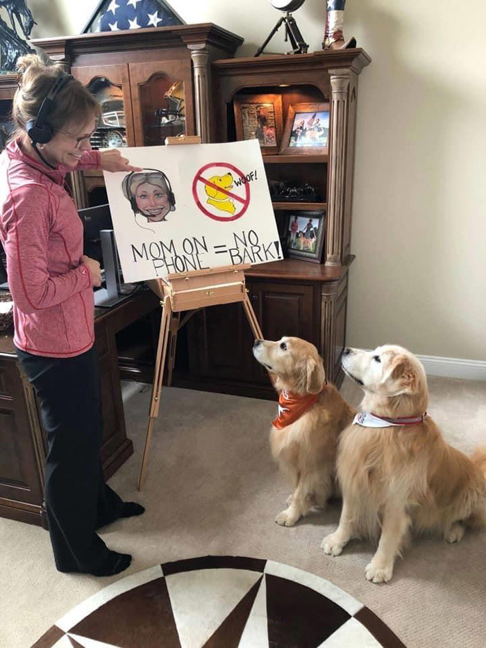 w92bm-no-bark-funny-pic.jpg