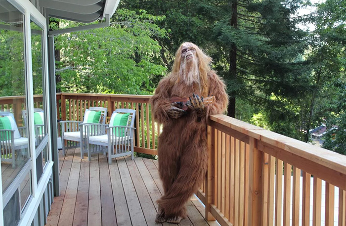 bigfoot zillow house listing