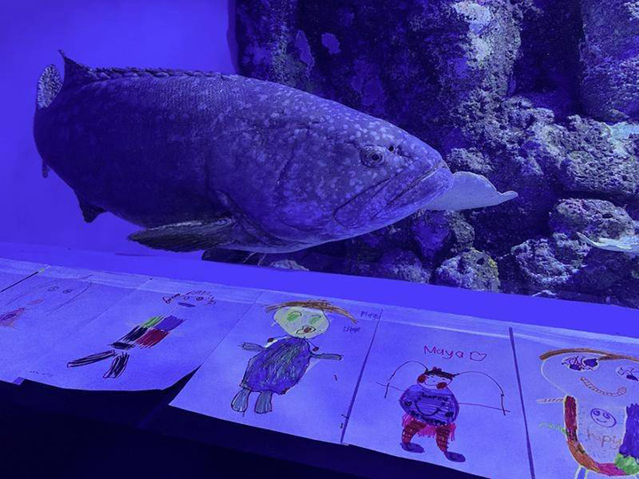 kids send mail to lonely fish