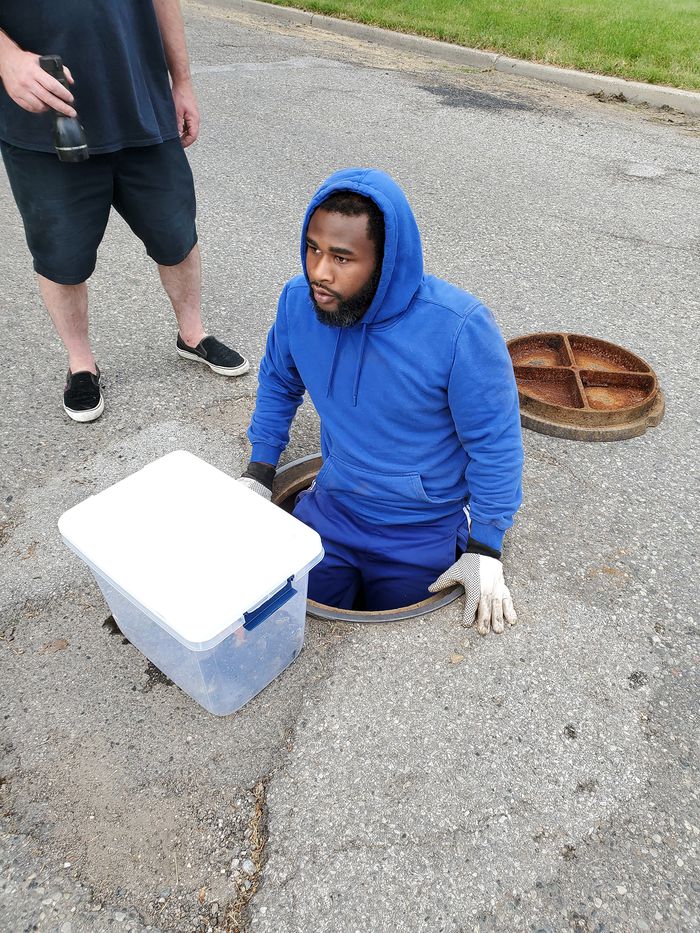 man rescues ducklings in sewer