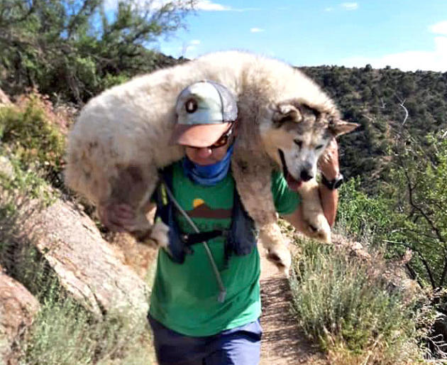 strangers rescue dog hike new mexico