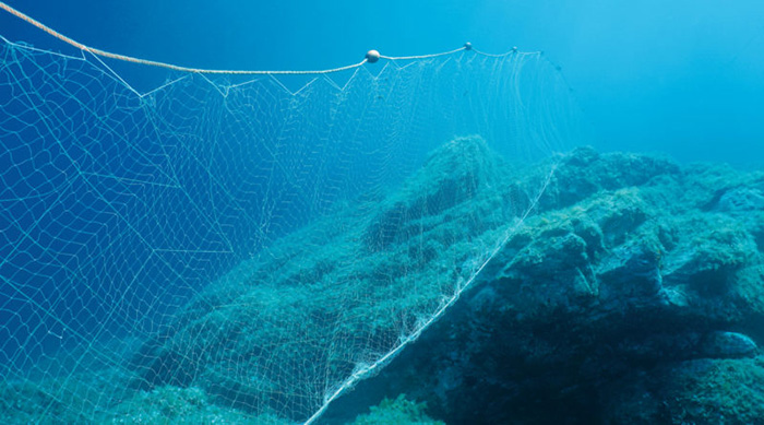 drift gillnets banned