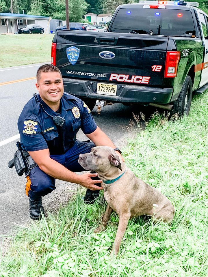 officer saves dog with kayak