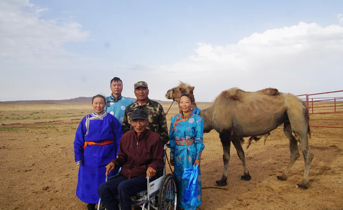 camel walks 62 miles to former owner