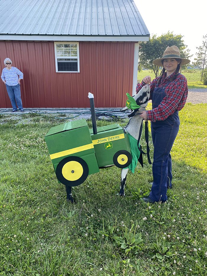 ybt4f-goat-dressed-as-tractor.jpg