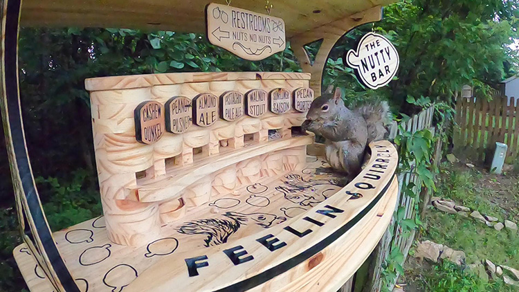 man built squirrel bar