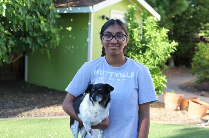 adopted girl helps dogs get adopted pet fairy