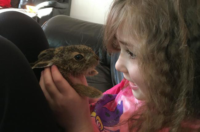 family rescues baby hare