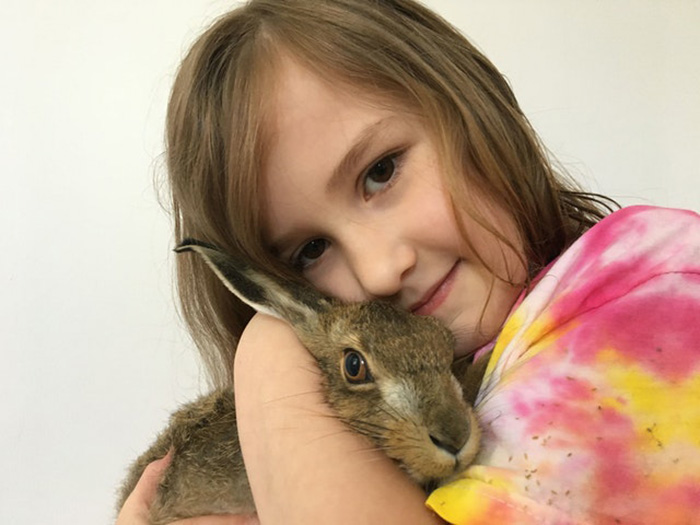 family rescues baby hare