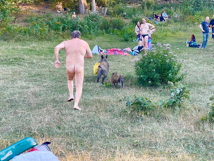 naked guy chasing boar