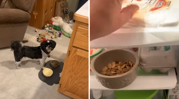 If Your Dog Doesn't Like His Food, Try This Trick!