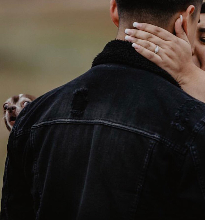 dog face owner engagement photo