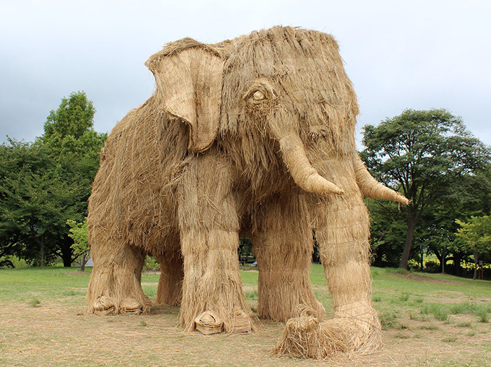 rice straw art Japan