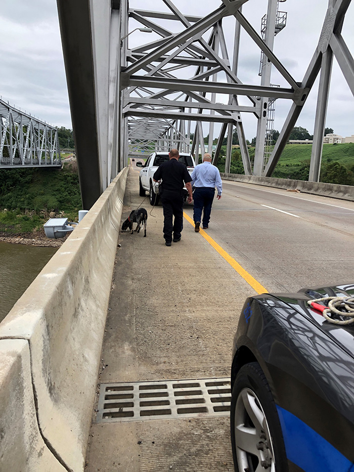 dog rescue mississippi bridge