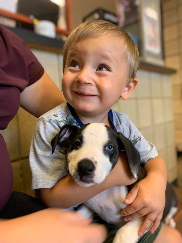 dog and boy cleft lip