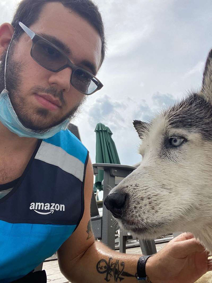 delivery driver rescues dog in pool