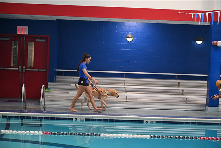 guide dog for blind swimmer