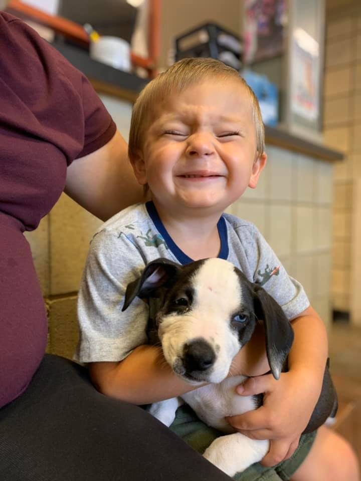 dog and boy cleft lip