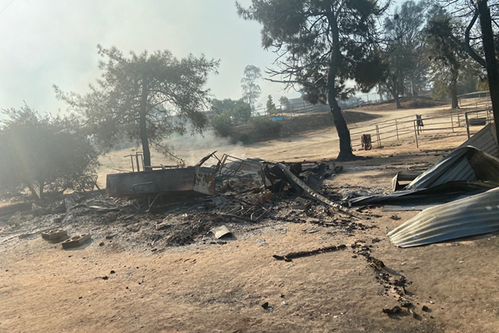 horse sanctuary wildfire