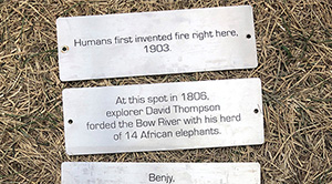 amazing stories