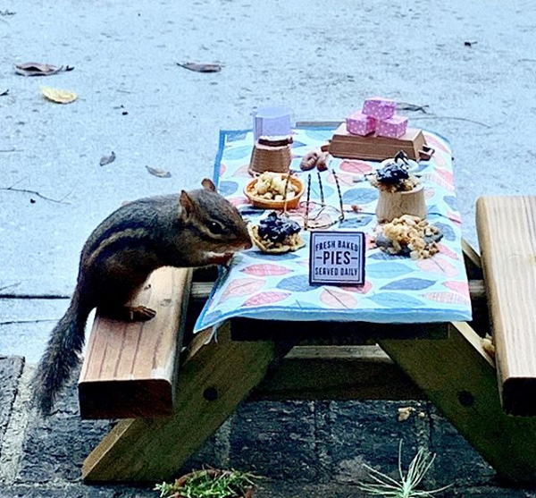 restaurant for chipmunk