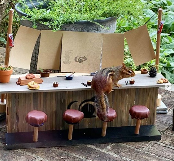 restaurant for chipmunk