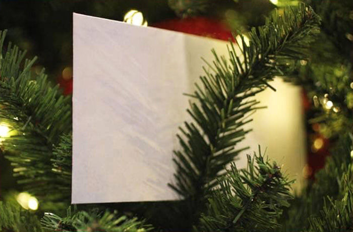 the white envelope christmas story