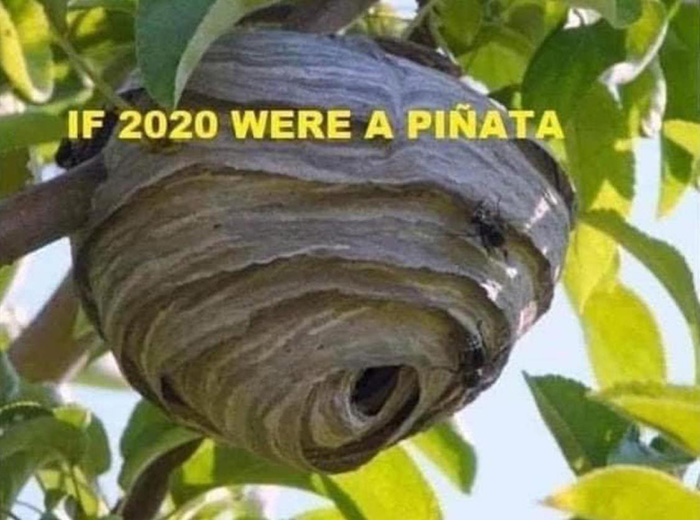 funny 2020 memes