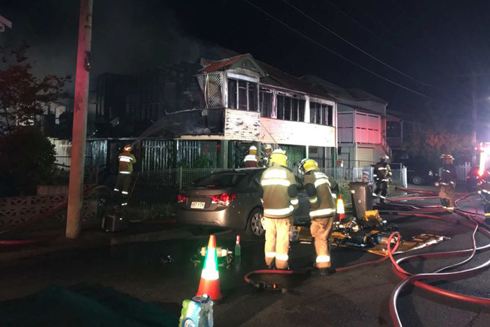 parrot saves man from house fire