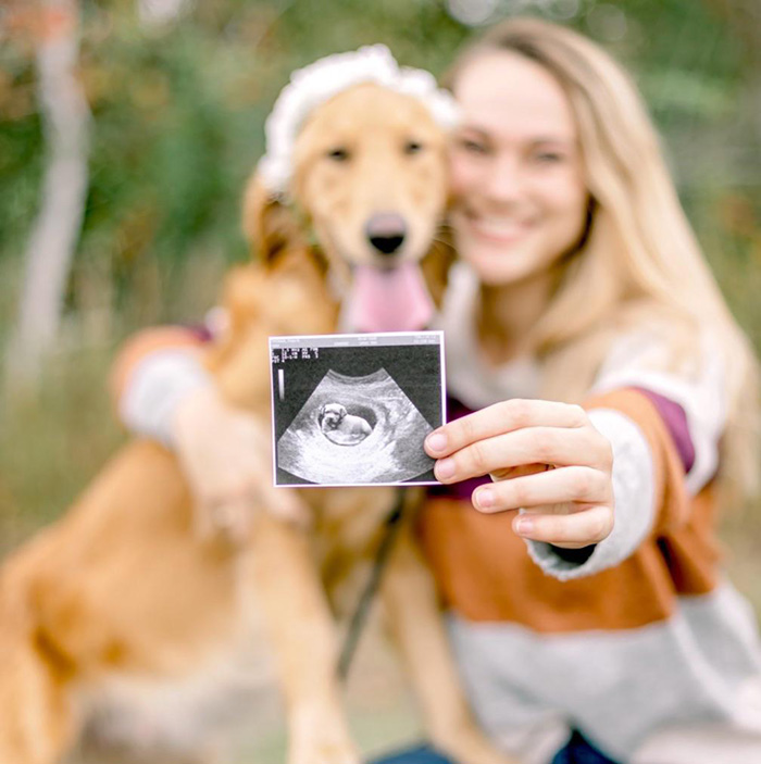 maternity shoot for foster dog