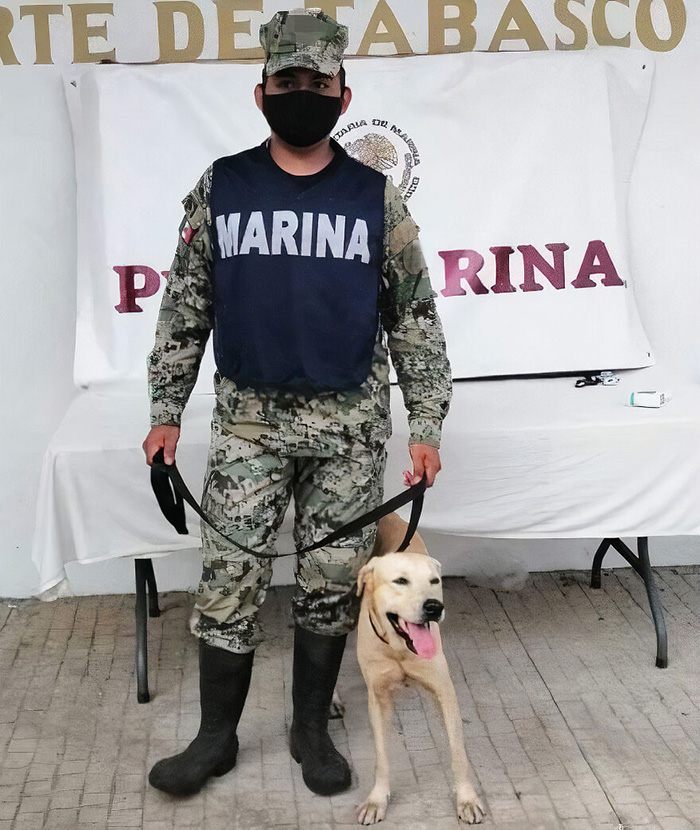 dog rescued Mexico floods now marina