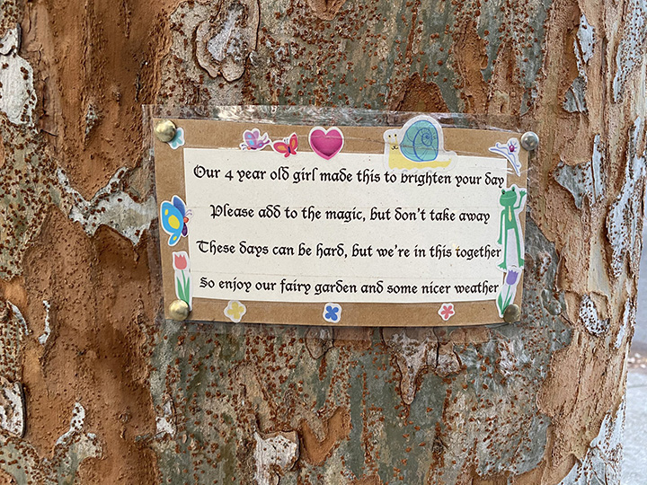fairy garden sapphire