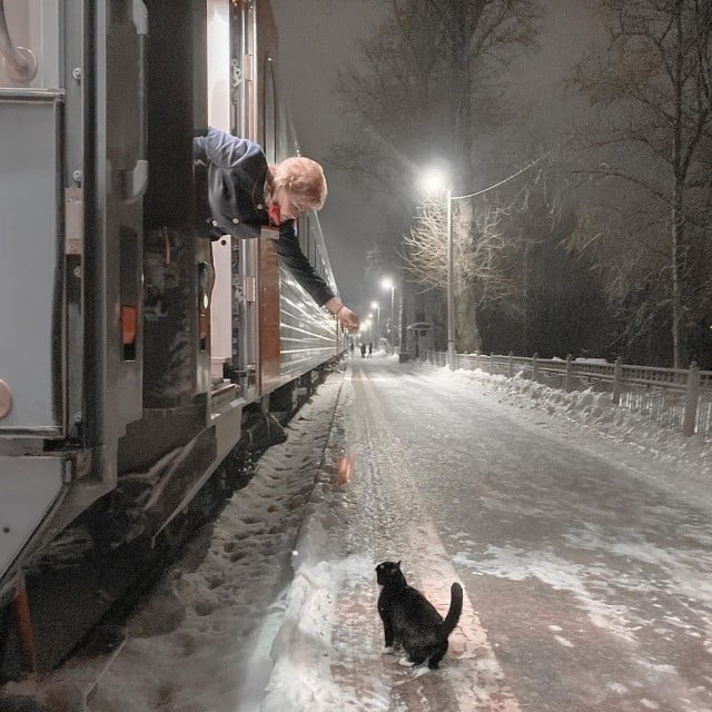 cat moscow train