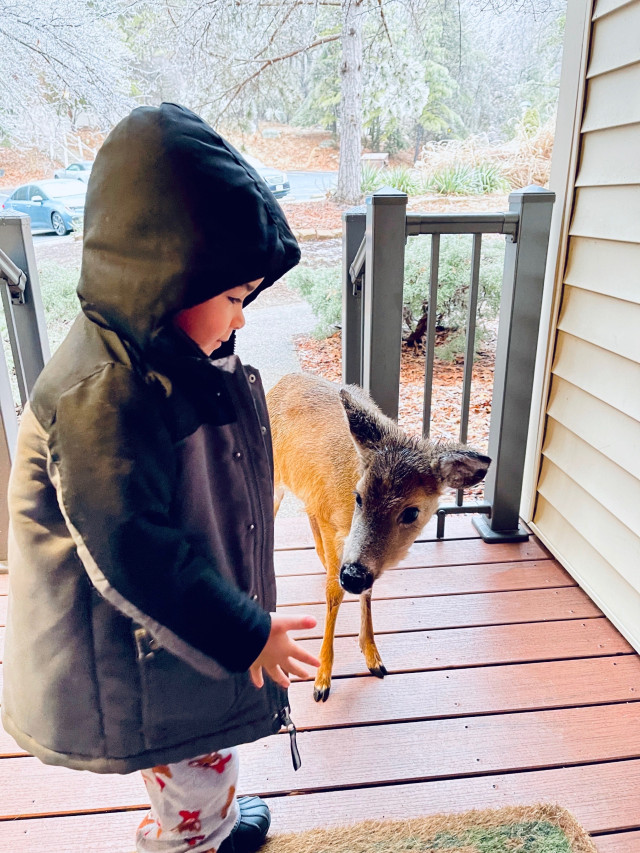 4 year old comes home with deer