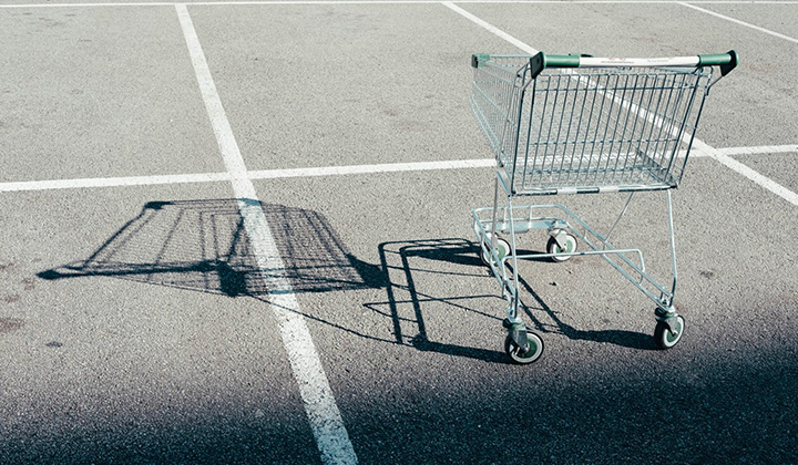 the shopping cart theory