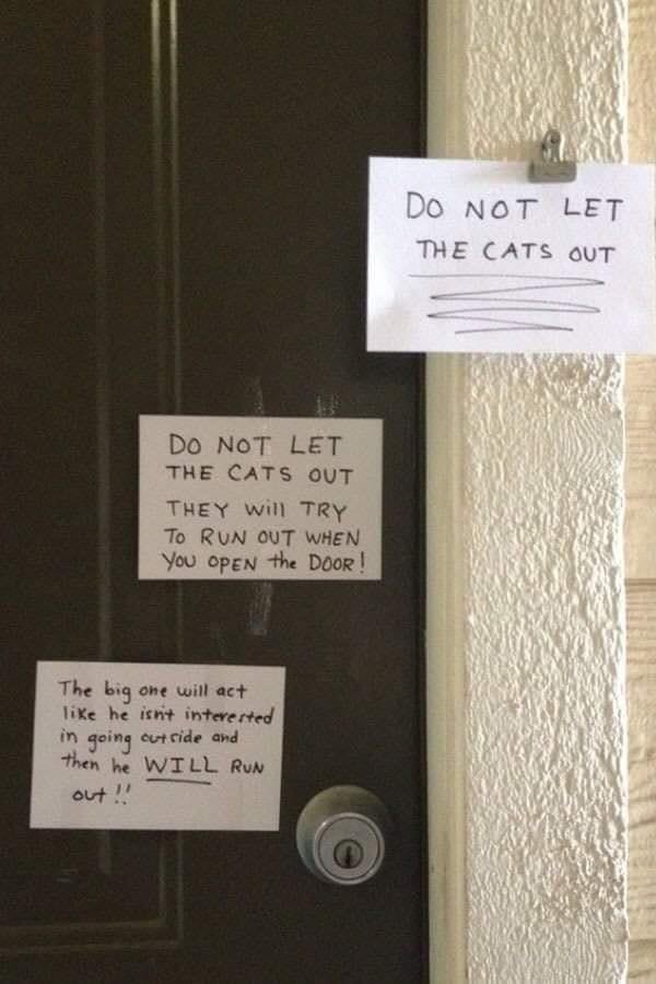 cat's owners put up hilarious sign