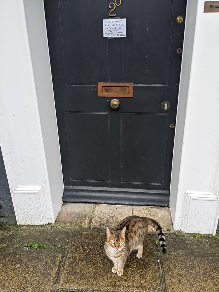 cat's owners put up hilarious sign