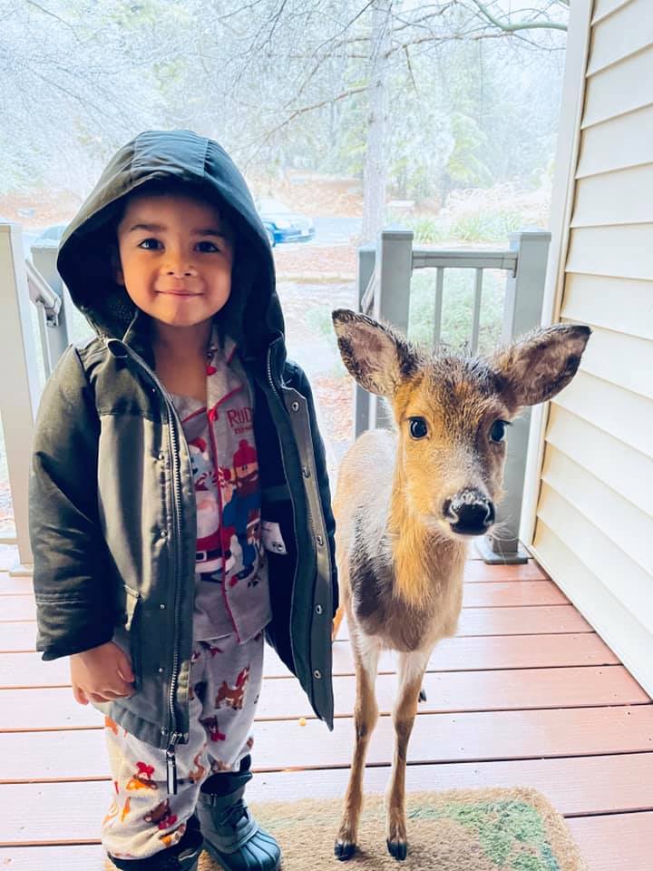 4 year old comes home with deer