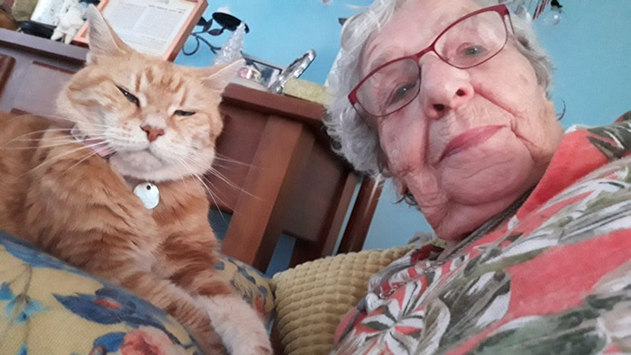 grandma selfie with cat